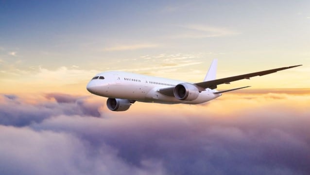 1 yılda kaç havayolu uçuşlarını durdurdu?