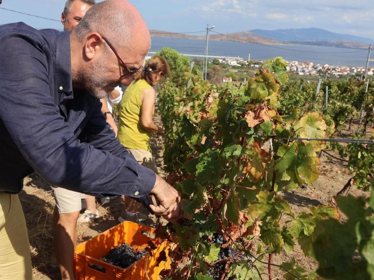 Bir Başkadır Avşa etkinliği 6 Eylül'de başlıyor