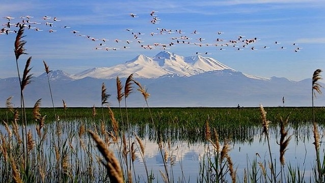 4 ildeki doğal sit alanının statüsü değişti
