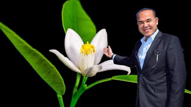 Adana turizmine portakal çiçeği etkisi