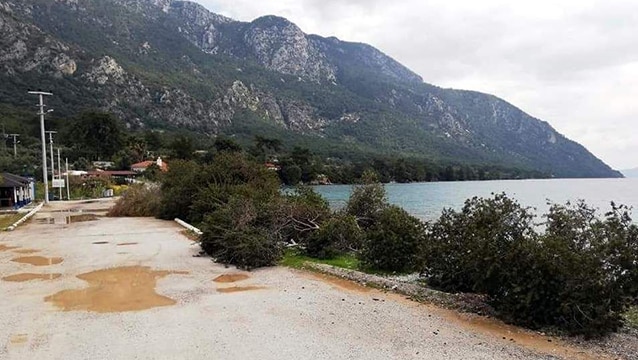 Ağaçlar şezlonglar için mi kesildi?
