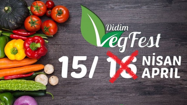Anayasa referandumu "vegan" festival erteletti