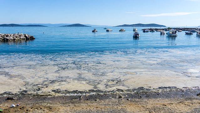 Aytekin Şahinbaş: Tur ilanları birer birer çekiliyor
