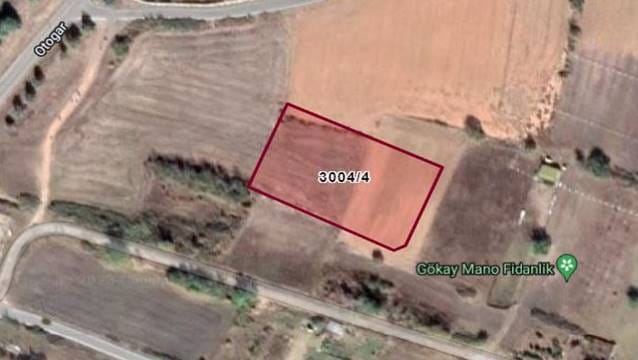 Belediye'den 12 milyon liraya satılık turizm arazisi!