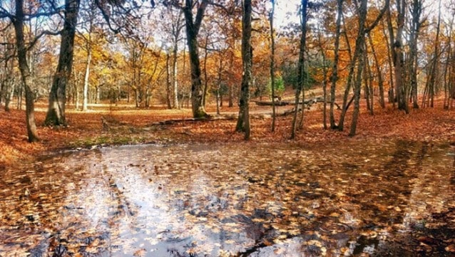 Bir alan daha kesin korumaya alındı 