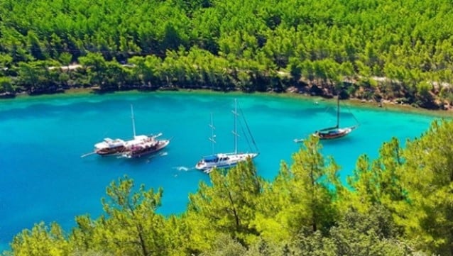 Cengiz ve Tamince 2.1 milyar liralık arazi için tapu harcı bile ödememiş!