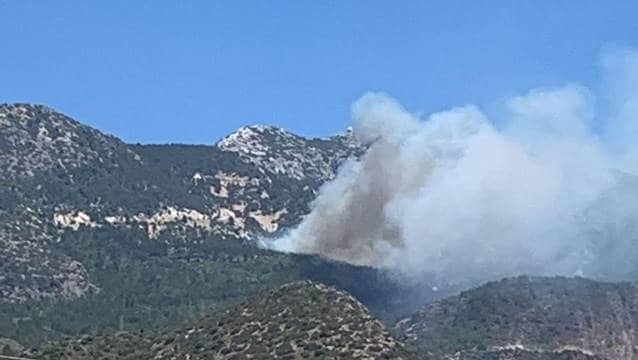 Datça'da yangında otel alevler arasında kaldı