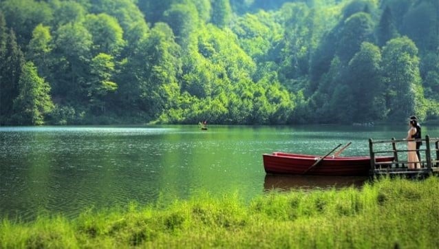 Doğa Koruma ve Milli Parklar Genel Müdürlüğü neden kapatılıyor?