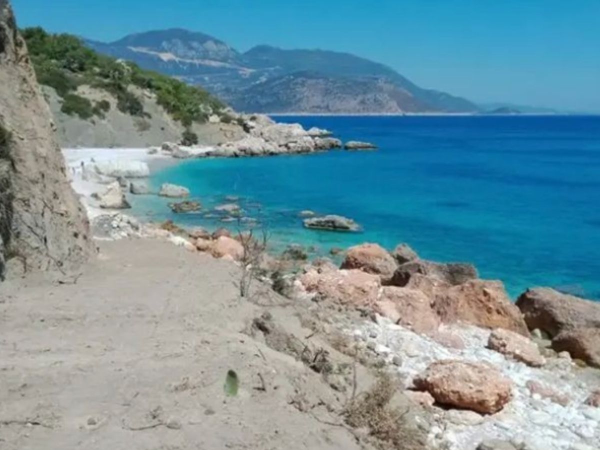 Mimarlar Odası’ndan Kaş’taki orman parkı ihalesine iptal çağrısı