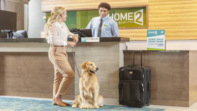 Hilton'un gelecek öngörüleri... 