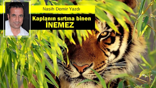 Kaplanın sırtına binen inemez!