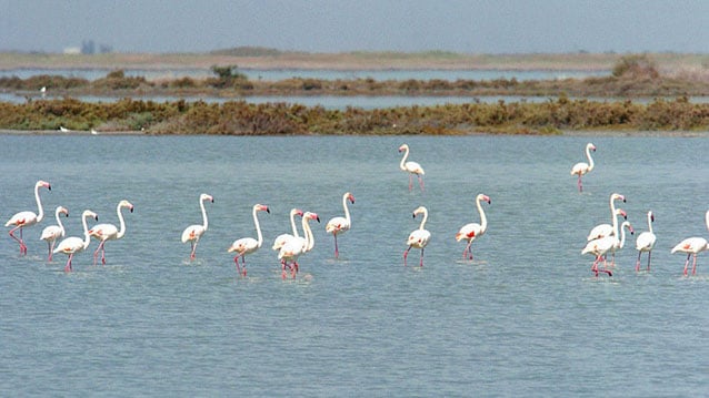 Karar yayınlandı, işte kesin korunacak 7 hassas alan