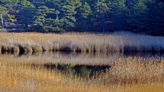 Karar yayınlandı, işte kesin korunacak 3 hassas alan