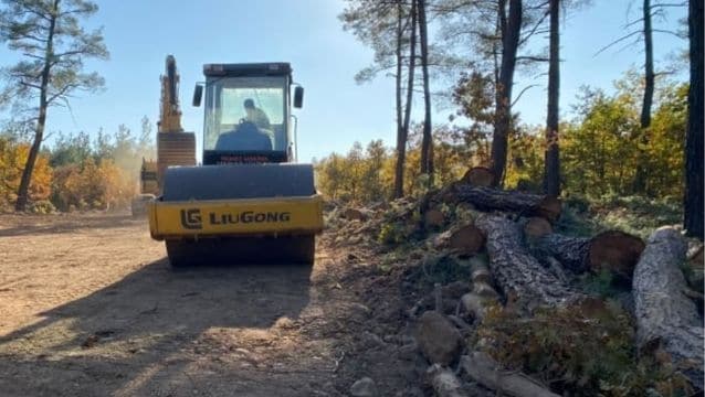 Kaz Dağı’nda orman katliamı