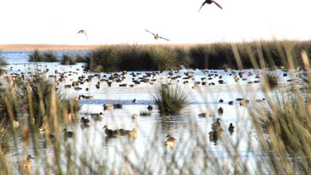 Kuş gözlemcileri için butik otel yapılacak