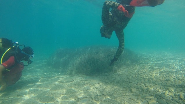 Mavi bayraklı halk plajında deniz dibi temizliği