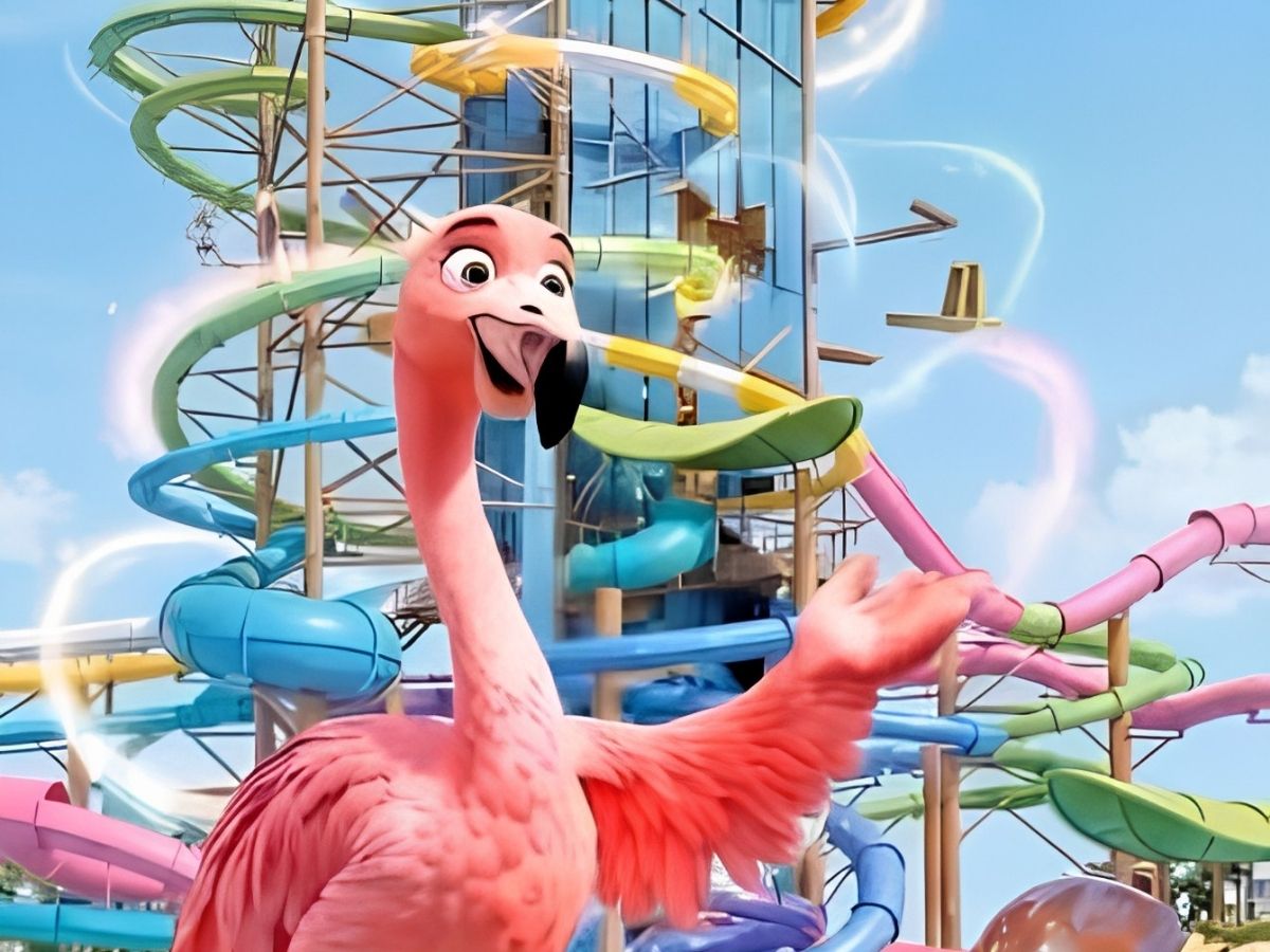 Bodrum Vogue Otel'deki flamingo için izin süreci mercek altında