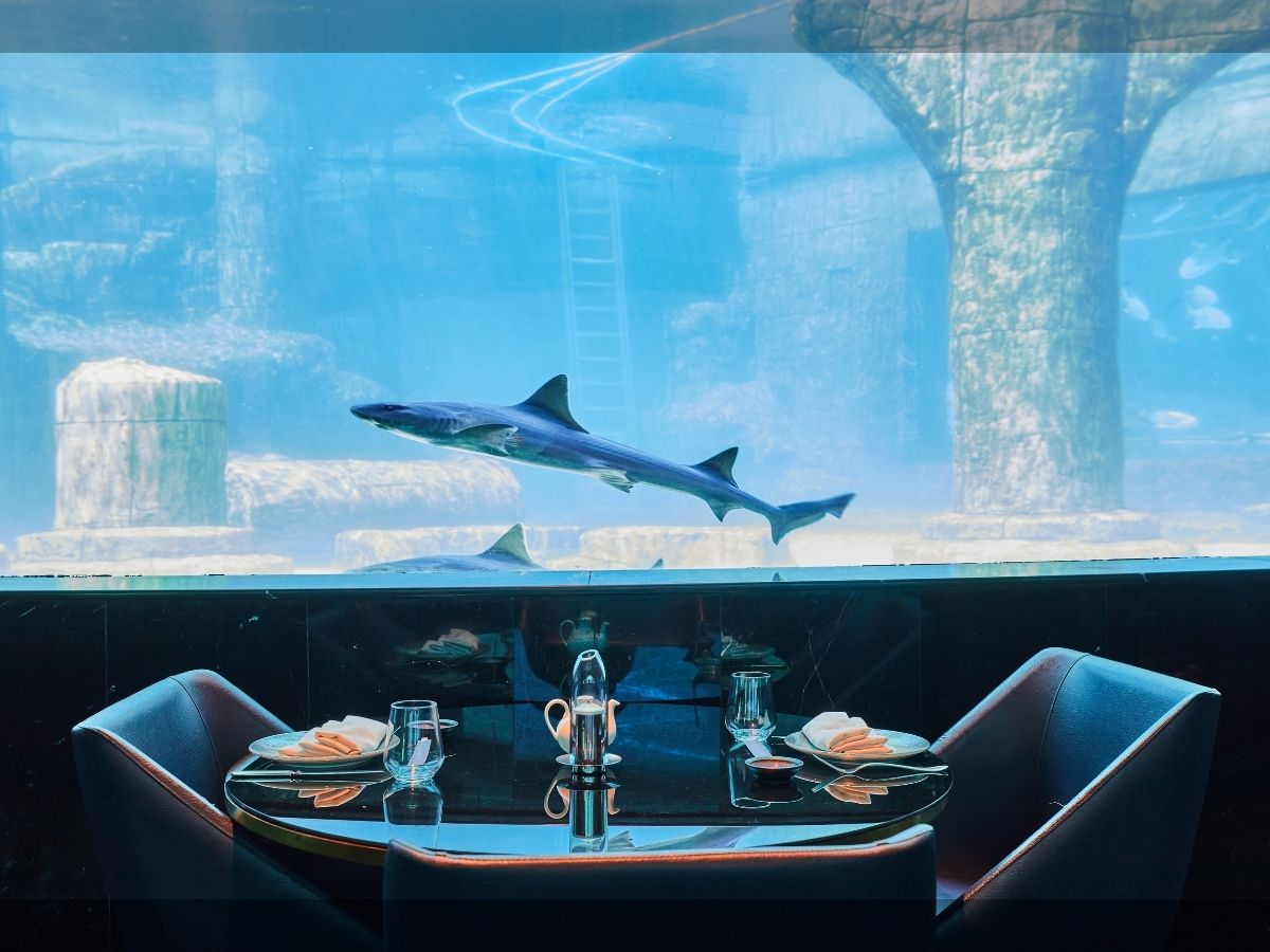 Nemo İstanbul’da açılıyor: Gastronomi ve tasarım deniz altı konseptinde buluşuyor