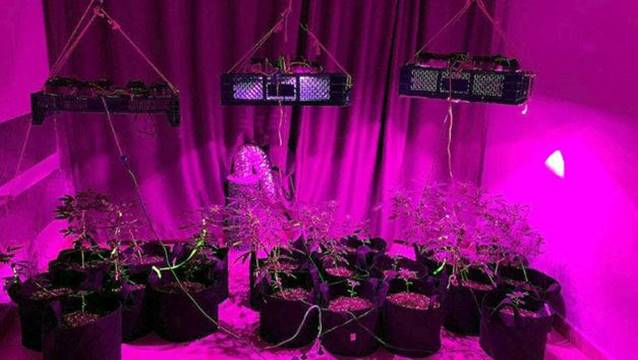 Resepsiyonistin yaptığına bak!