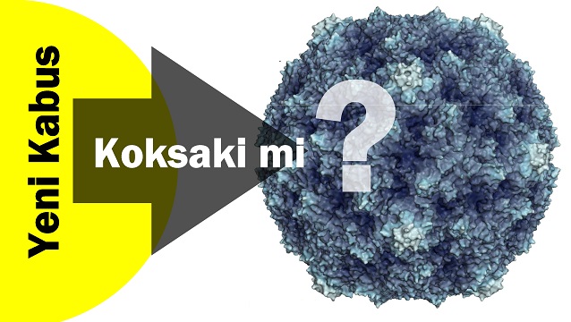 Rus turistler koksaki nedeniyle Türkiye tatillerini iptal ediyor