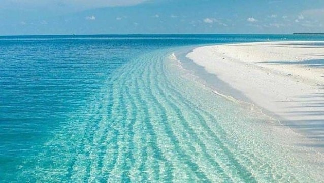 Salda Gölü davasında karar açıklandı