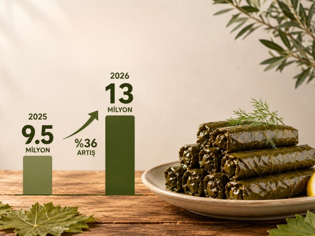 Türkiye'nin en çok sarma yaprağını ihraç ettiği üç ülke