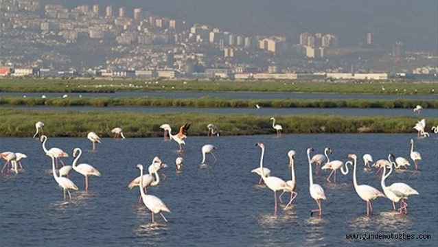 Şehir Plancıları odası uyardı: Doğal sit alanları ranta açılıyor