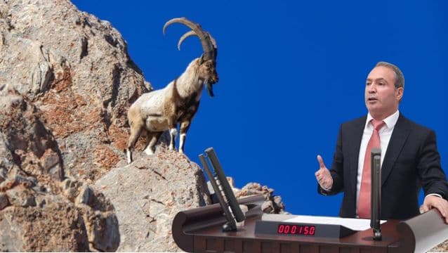 Şırnak'ta avcılık tartışması