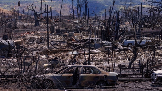 Turizm cennetinde ağır bilanço: 114 ölü, 850 kayıp!