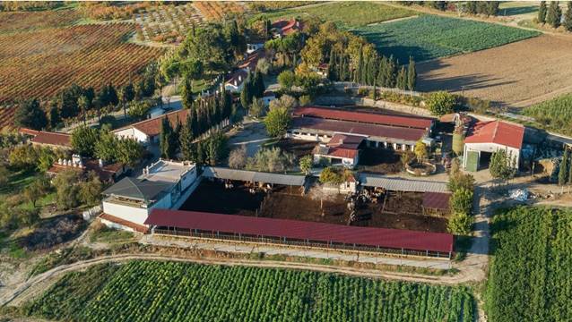 Turizmci Tonbul Ailesi’nin ürettiği zeytinyağları, dünyanın en iyileri arasında!