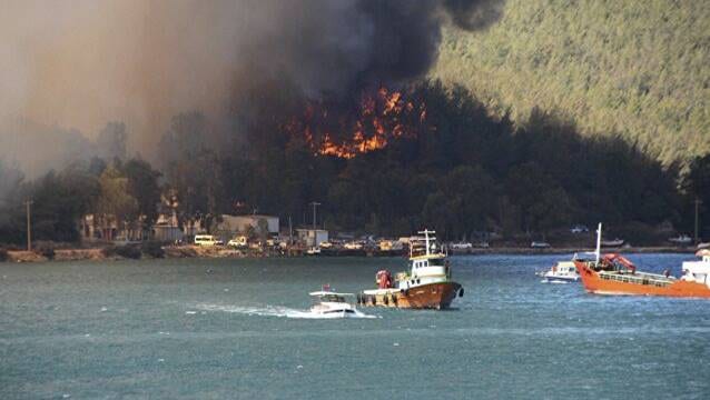 Yanan ormanlar turizme açılır mı?